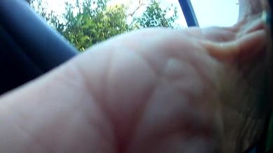 Проститутка отсасывает большой член клиенту рядом с машиной